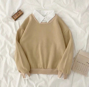 Collared sweatshirt